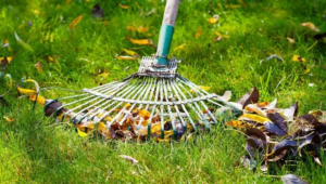lawn care, lawn service, lawn, landscapes, landscapes installations, landscape maintenance, lawn fertilization, insect interior pest control, weed control, dirt work, irrigation, irrigation and sprinkler repair, lawn solutions