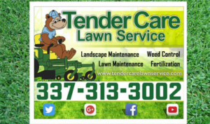 lawn care, lawn service, lawn, landscapes, landscapes installations, landscape maintenance, lawn fertilization, insect interior pest control, weed control, dirt work, irrigation, irrigation and sprinkler repair, lawn solutions