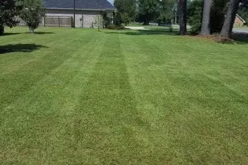 Landscaping Services at Tender Care Lawn Service