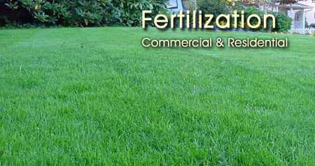 lawn care, lawn service, lawn, landscapes, landscapes installations, landscape maintenance, lawn fertilization, insect interior pest control, weed control, dirt work, irrigation, irrigation and sprinkler repair, lawn solutions, landscape lightning, drainage solutions